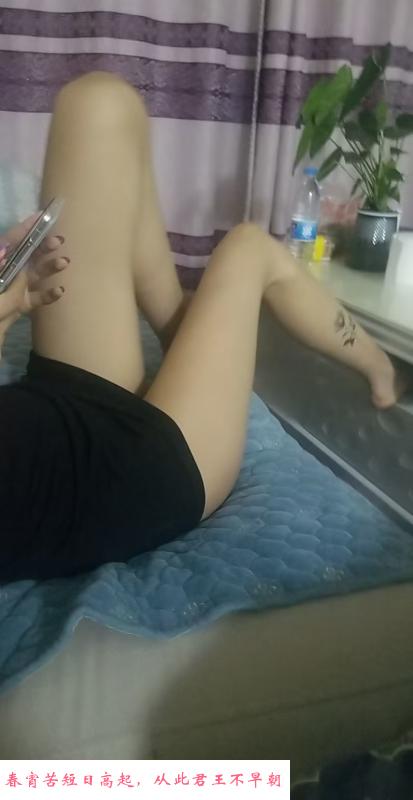 北辰小米粒 第1张