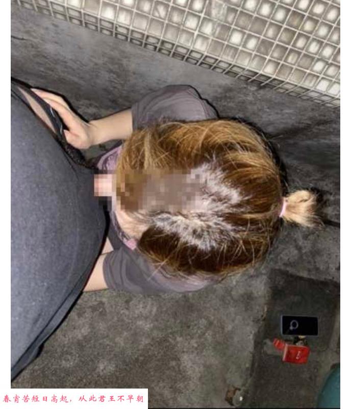 江泰路珠珠 第3张