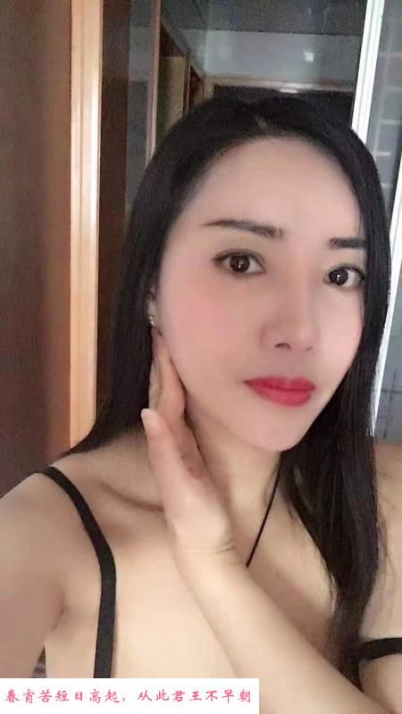 西环粉玫瑰 第1张