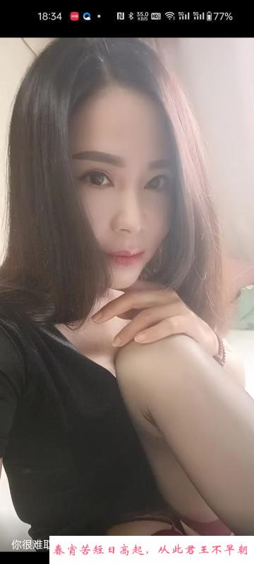 东丽丽丽 第1张