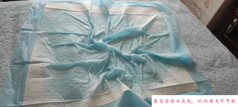体验喷水的婚纱美女 第2张