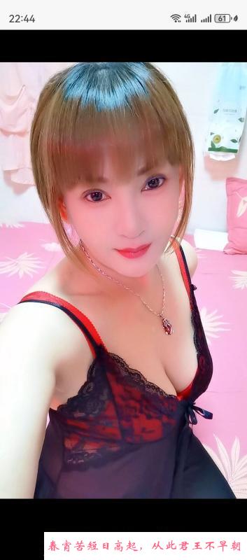 拱北猫猫 第3张