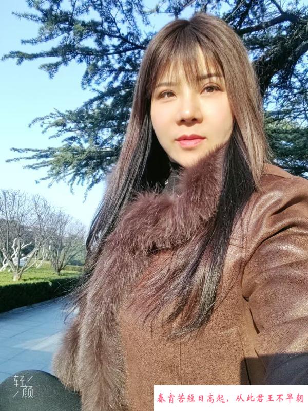 八爪椅女王 第4张