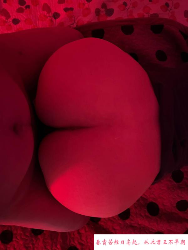 东北圆臀少妇 第4张