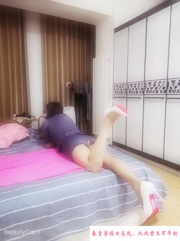 政务美腿中项安琪 第1张
