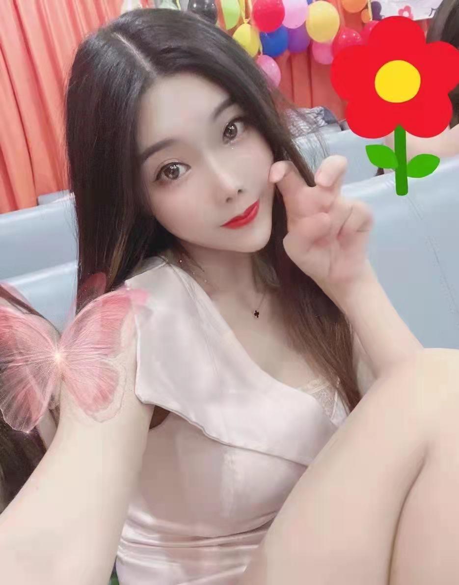 龙岗小淑女红虹 第1张